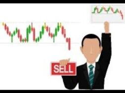 AZO 2550 PUTS 72% GAINS stock down 43 dollars traders