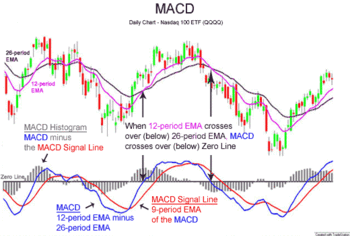 Stock Market Basics: Understanding Charts & Indicators MACD